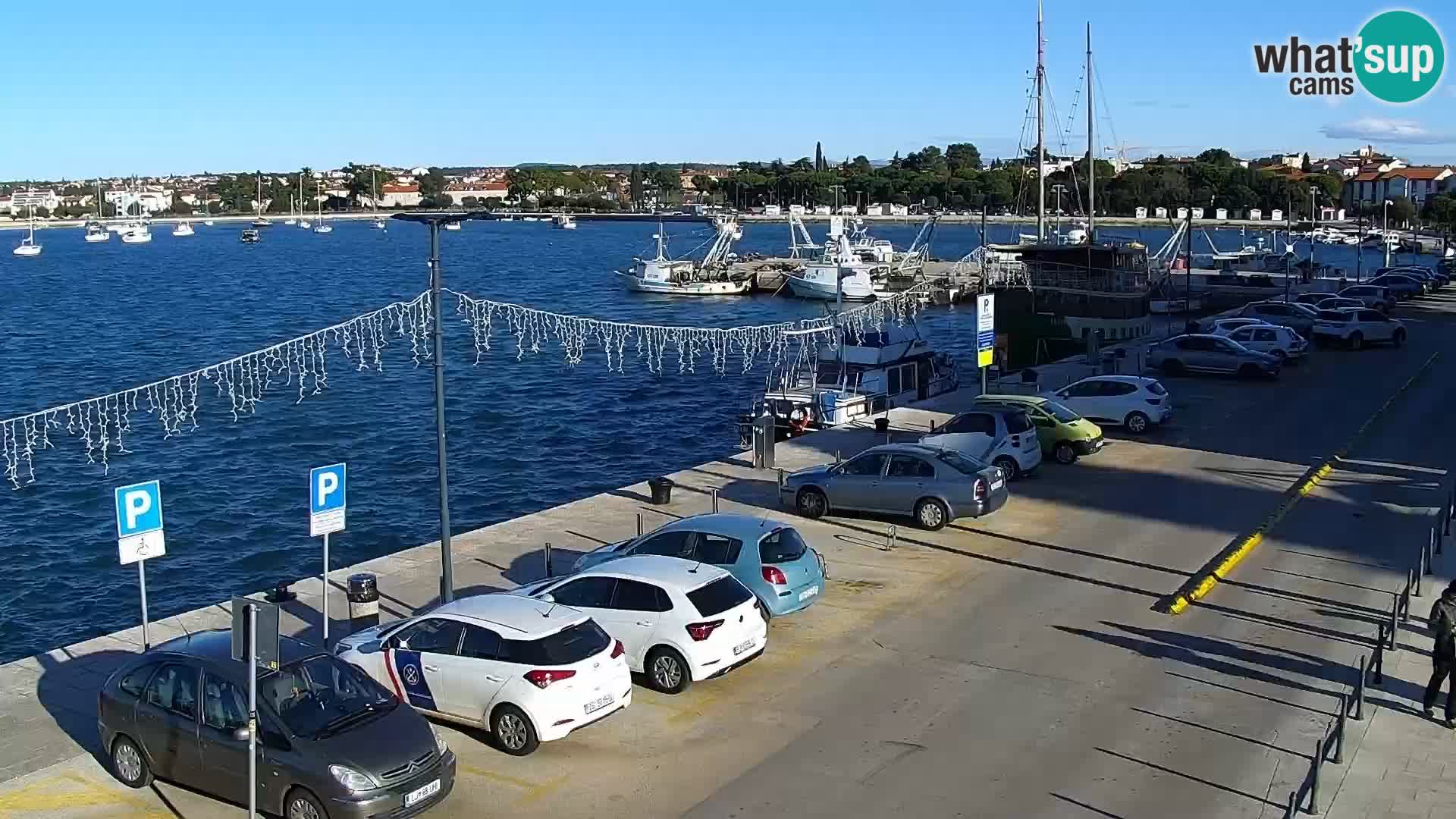 Trg Svobode – Kamera u živo Umag