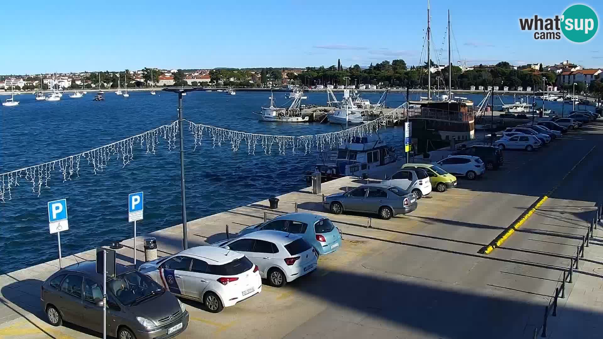 LIVE Webcam Umag – Main Square