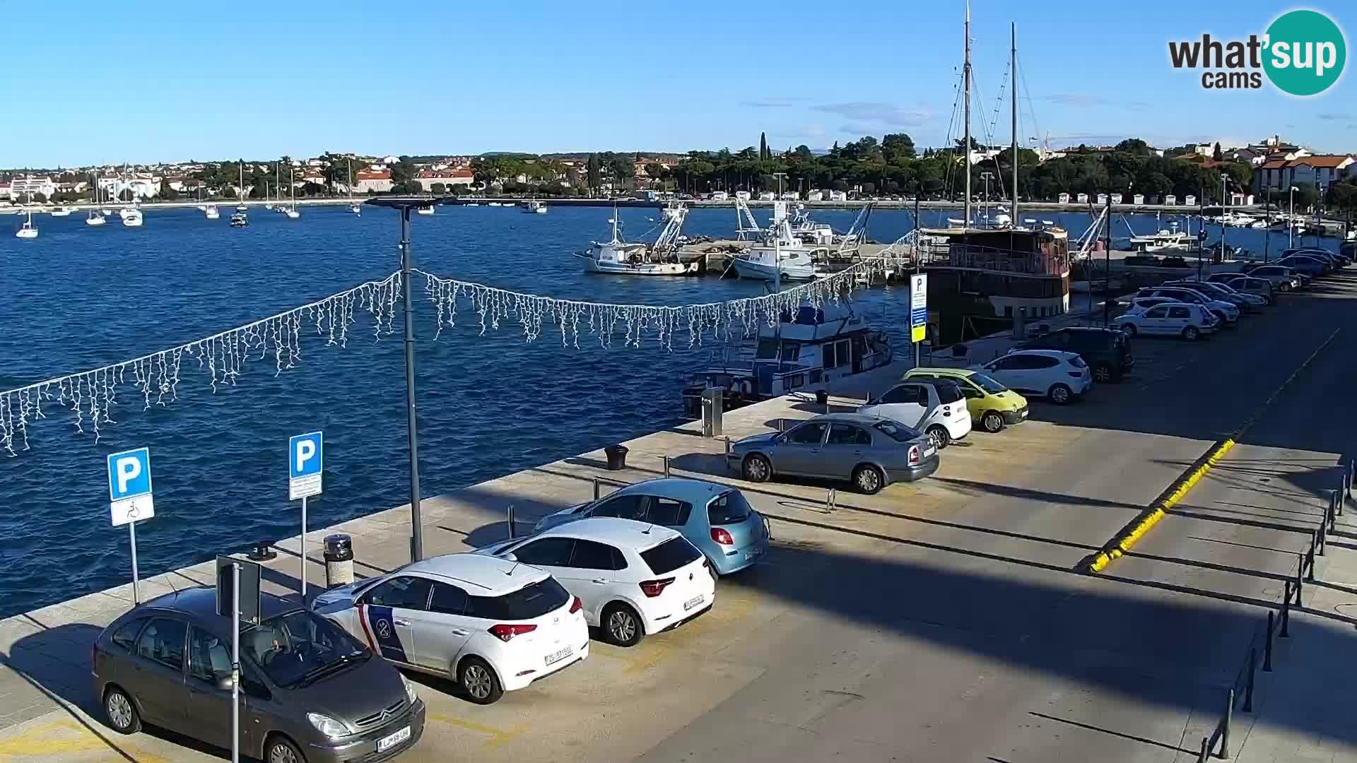 Webcam Umag – Puerto