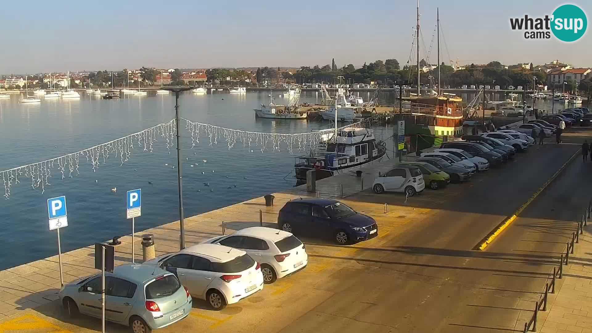 LIVE Webcam Umag – Main Square