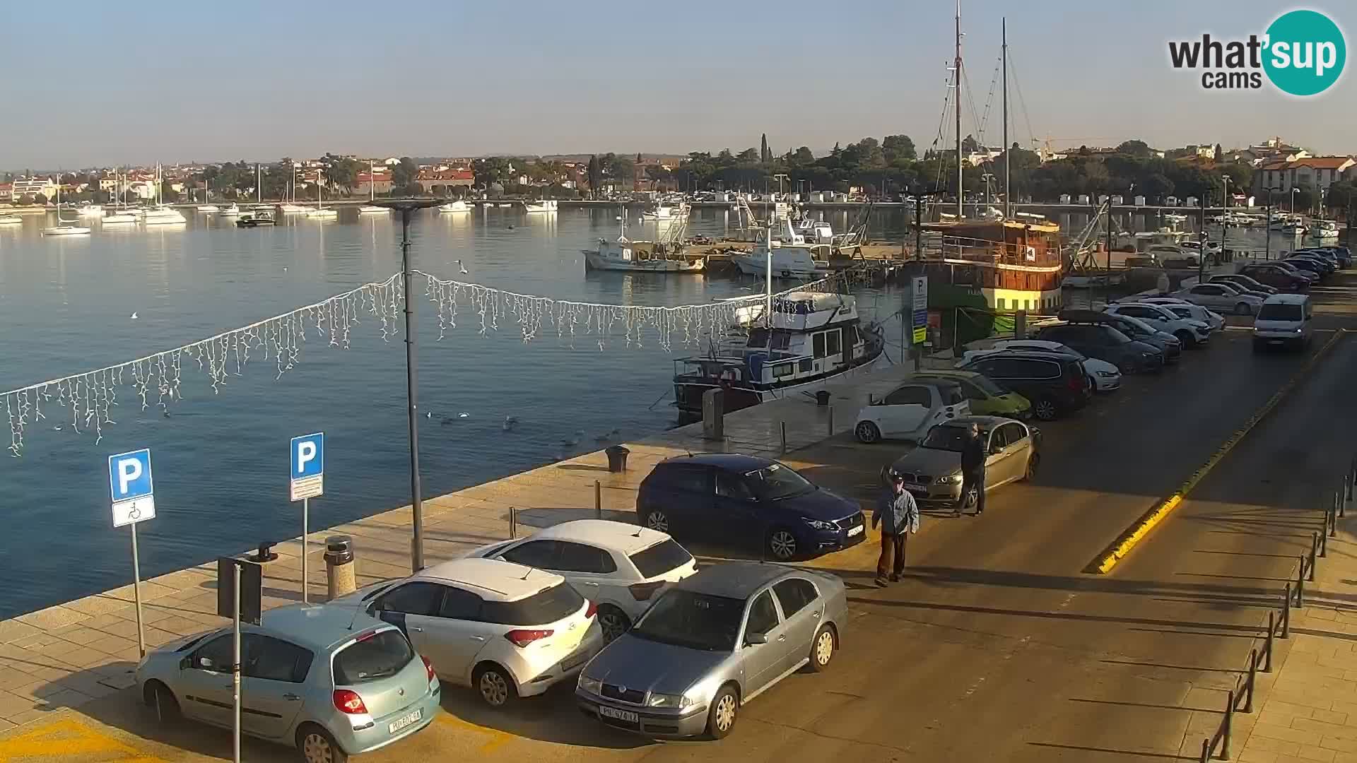 Webcam live Umag – Hafen