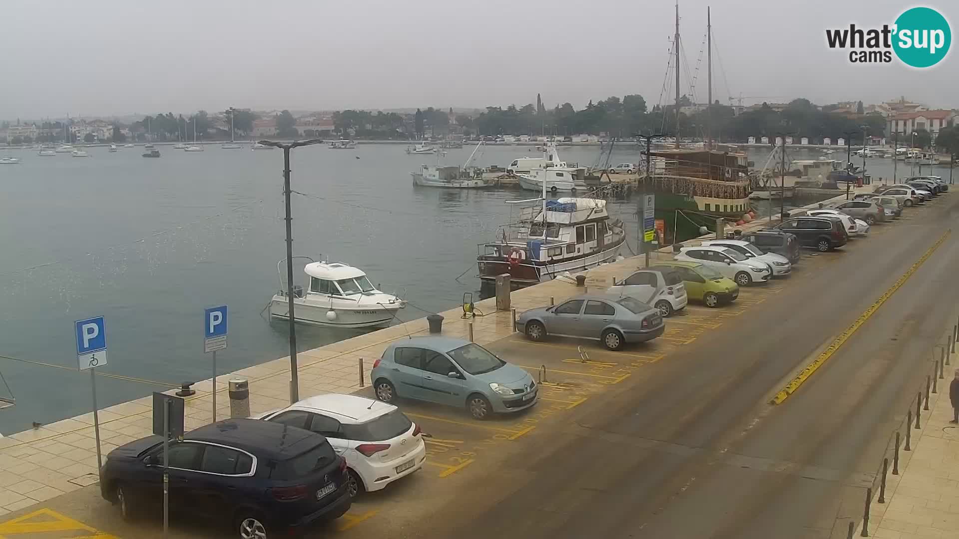 Webcam live Umag – Hafen