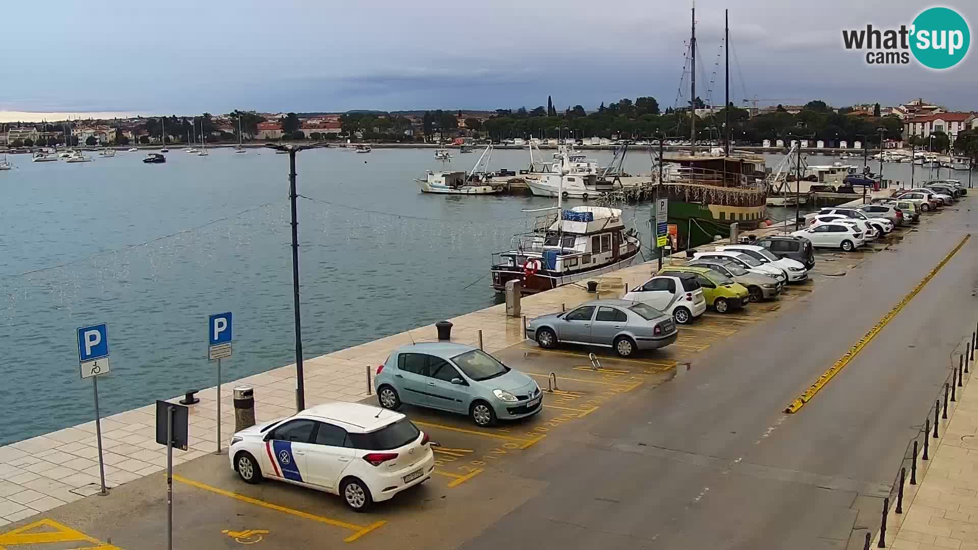 Webcam live Umag – port