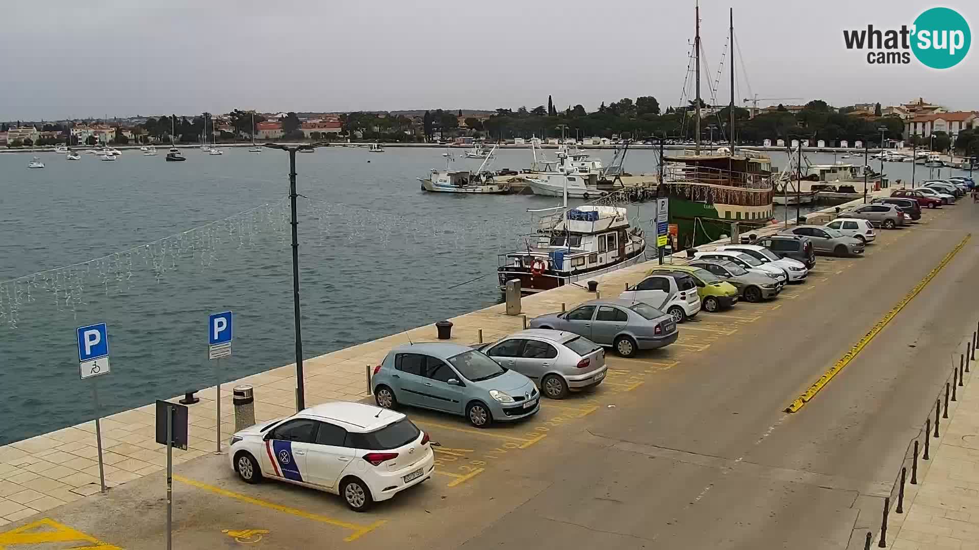 Webcam live Umag – Hafen