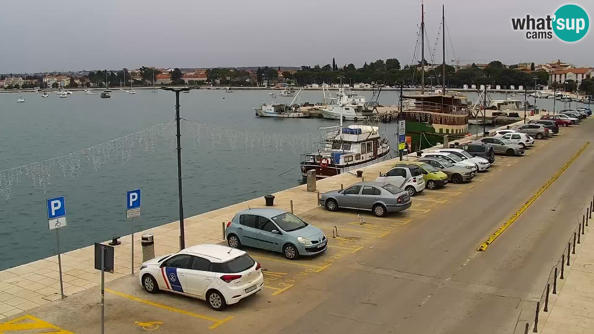 Webcam live Umag – Hafen