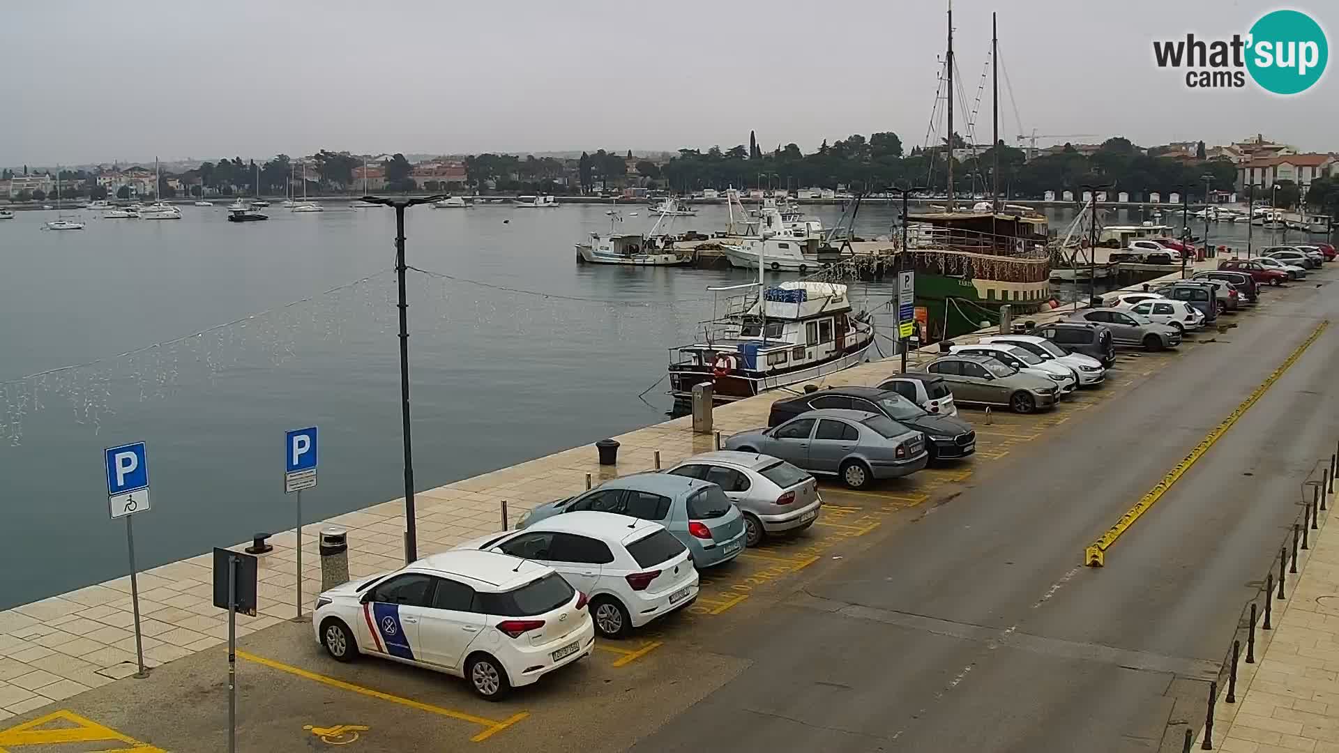 Live webcam Umag – Harbour