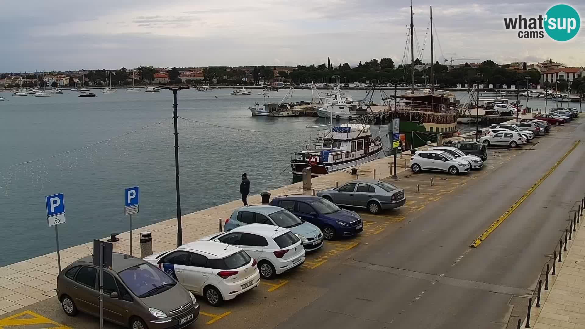 Spletna kamera Umag – luka