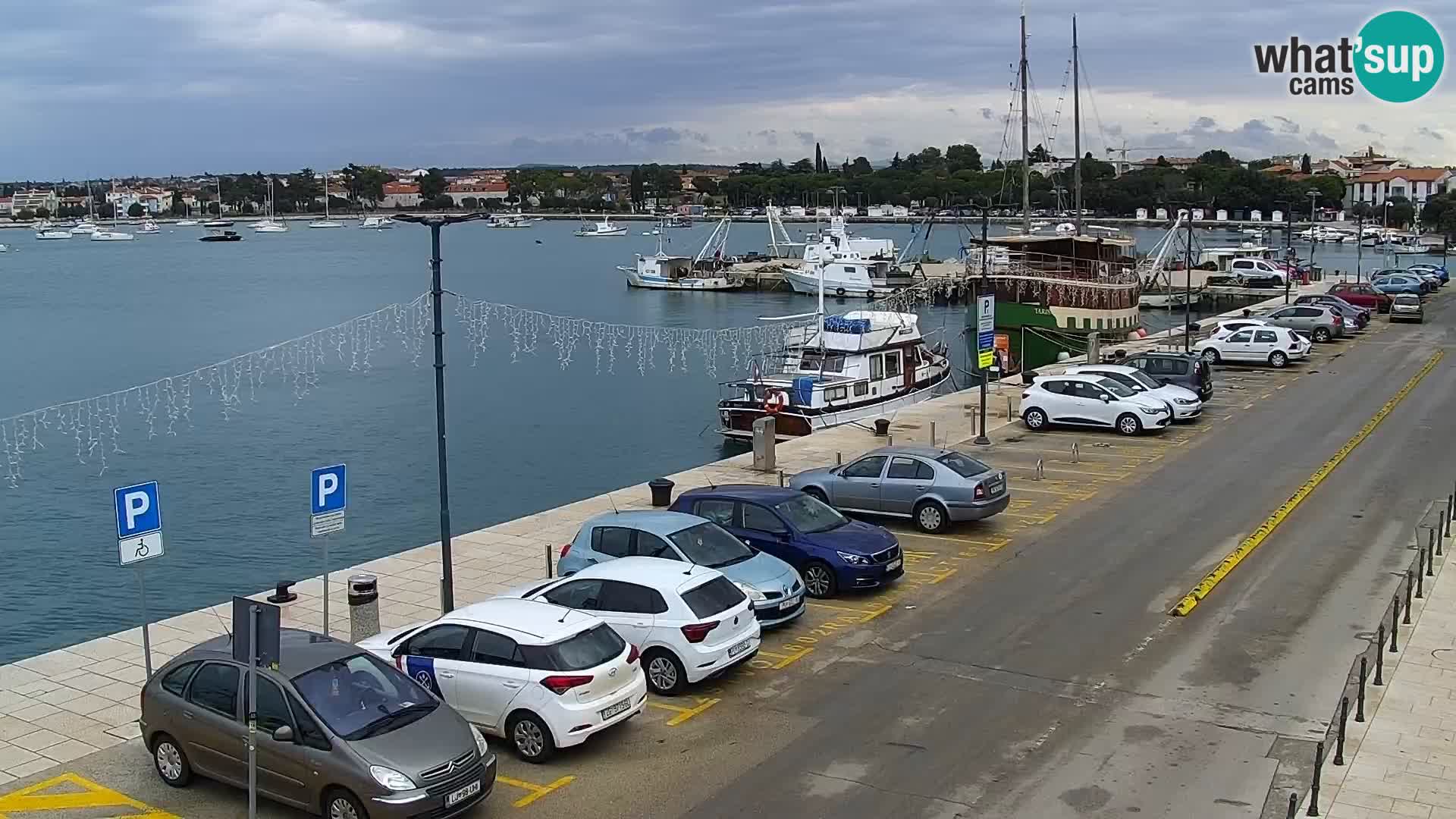 Spletna kamera Umag – luka