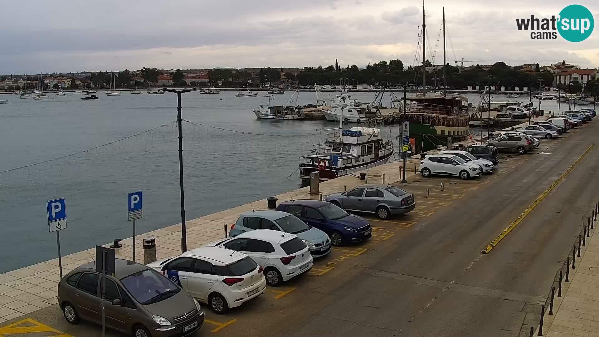 Webcam Umag – Puerto