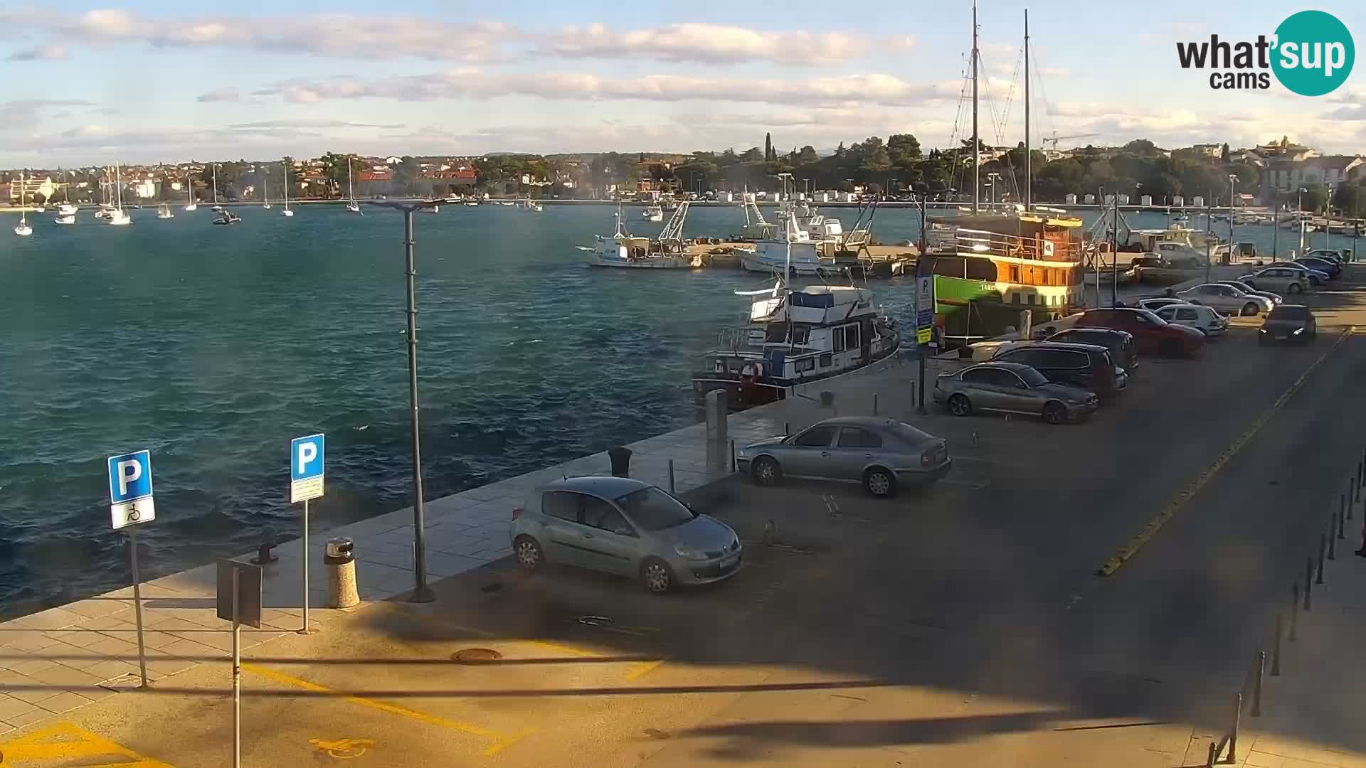 Webcam Umag – Puerto