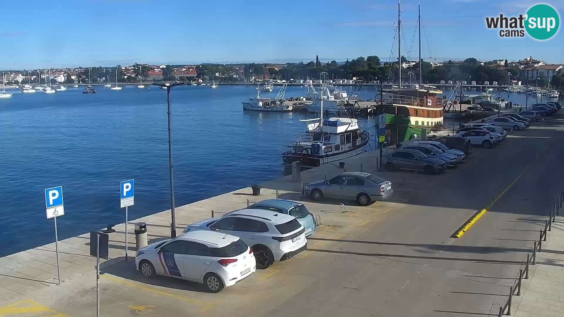 LIVE Webcam Umag – Main Square