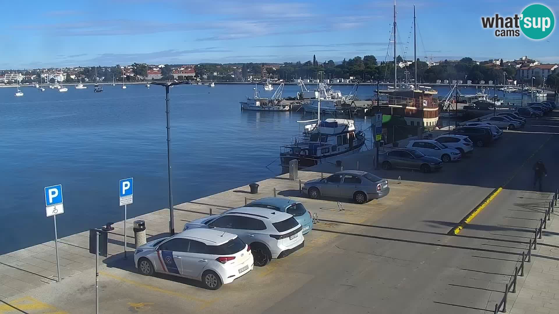 Live webcam Umag – Harbour