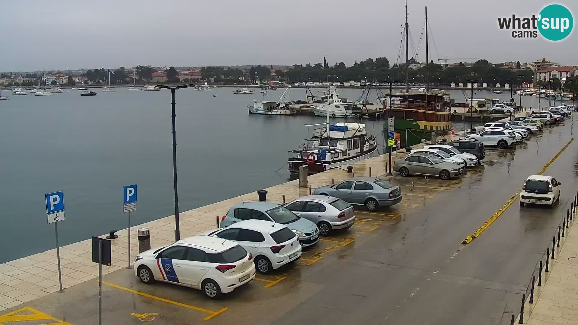 Webcam live Umag – Hafen