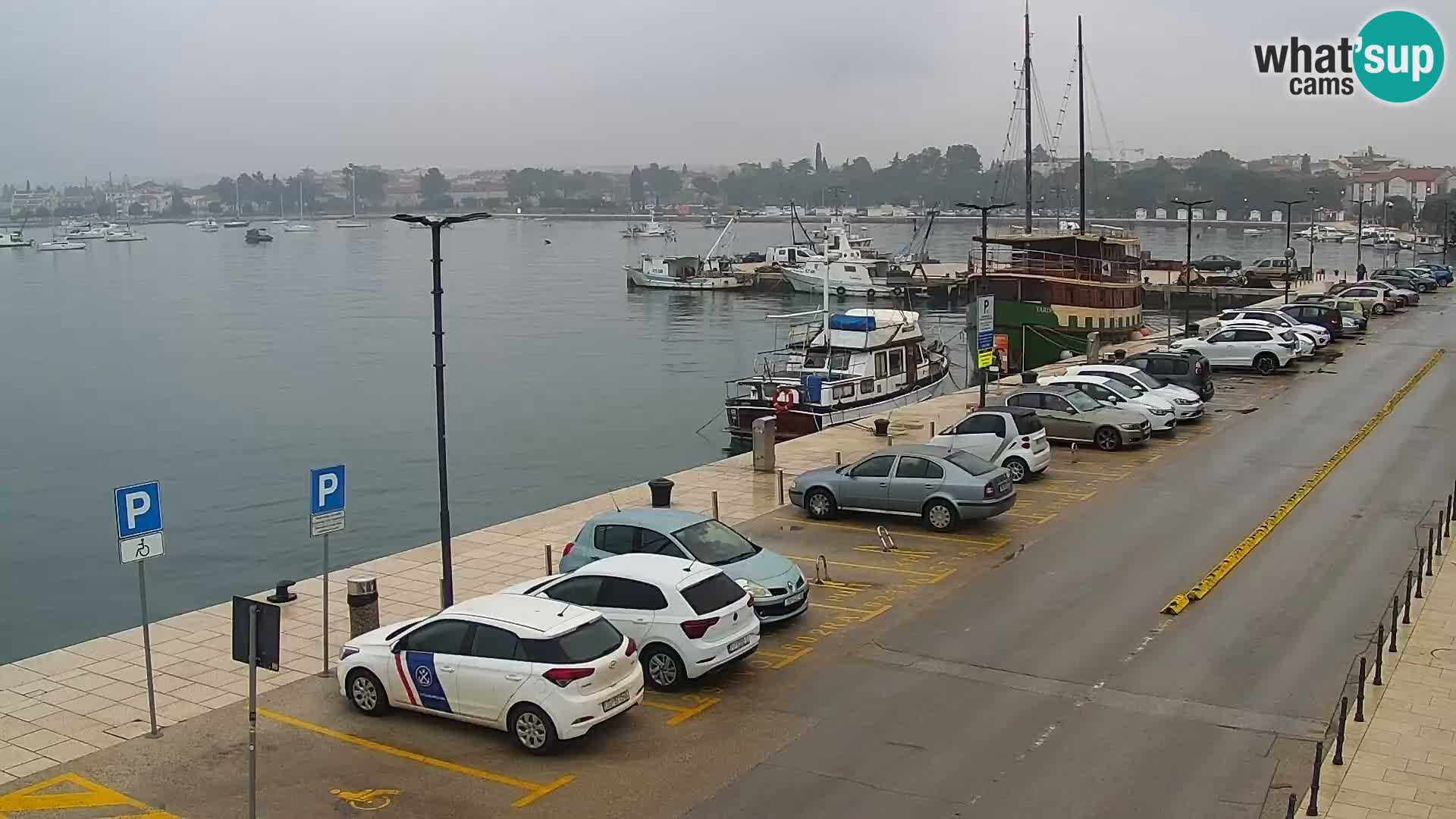 Webcam Umag – Puerto