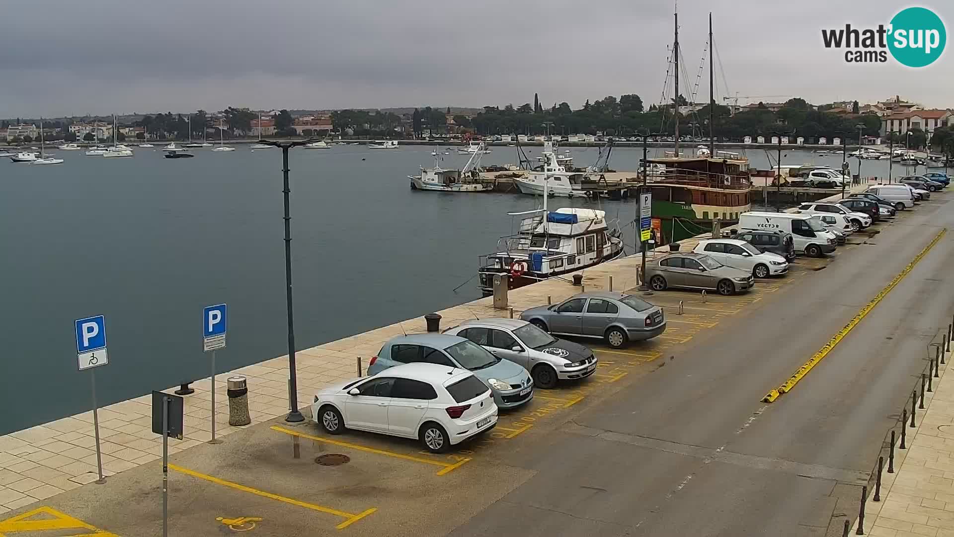 Webcam live Umag – port