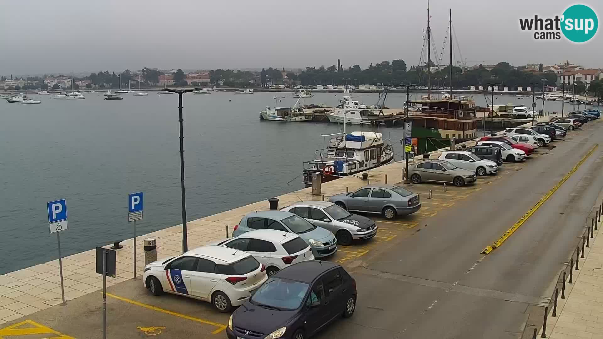 Webcam Umag – Puerto