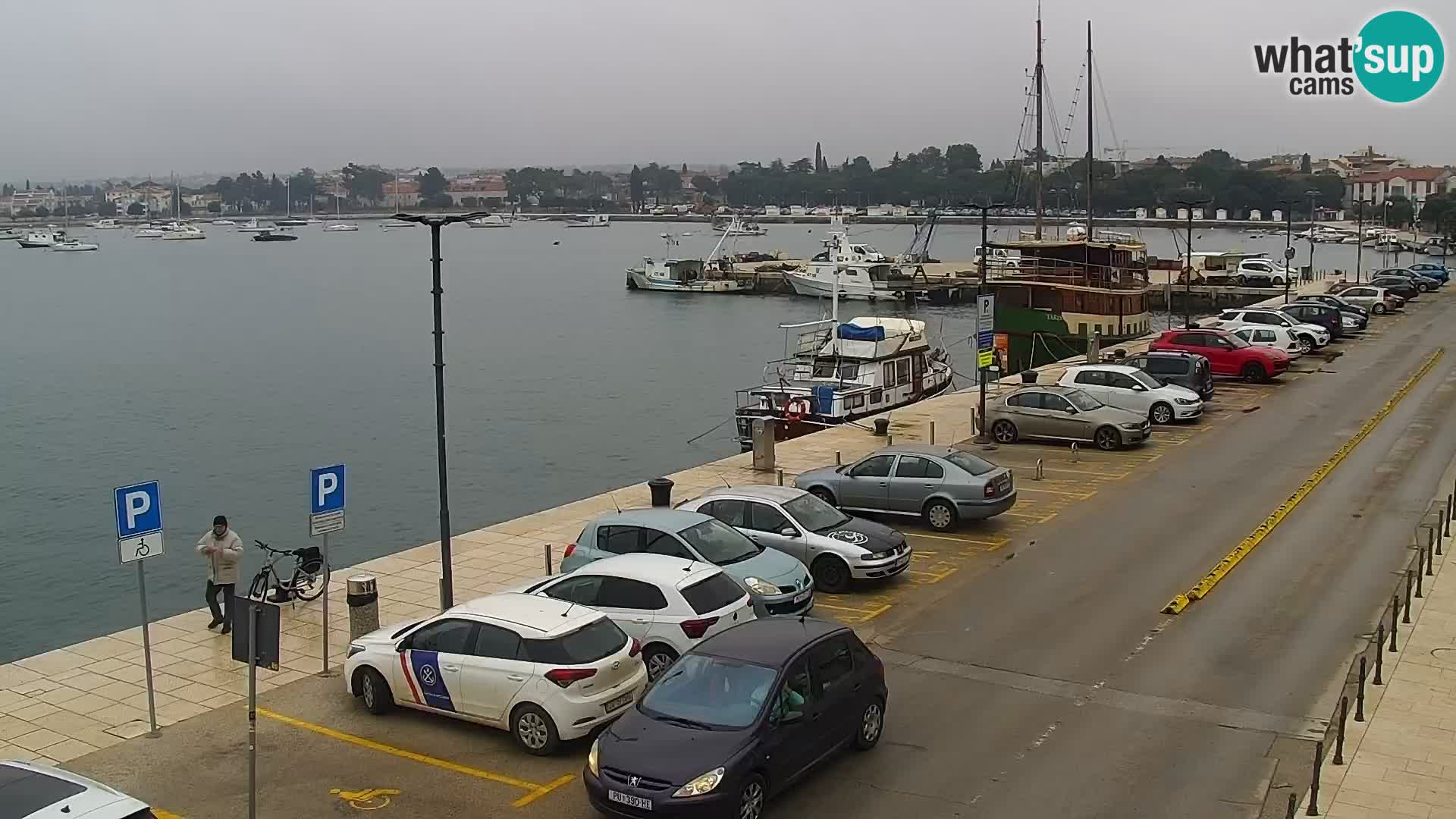 Webcam Umag – Puerto