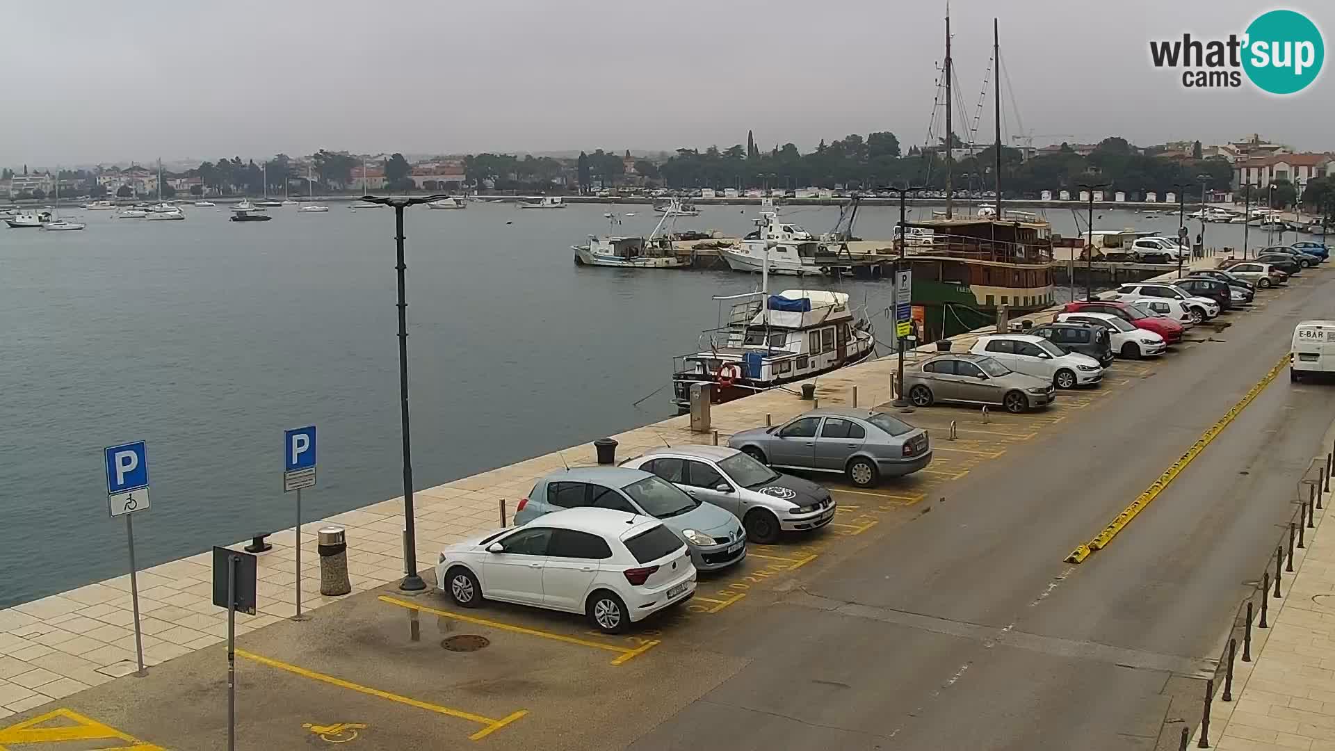 Spletna kamera Umag – luka