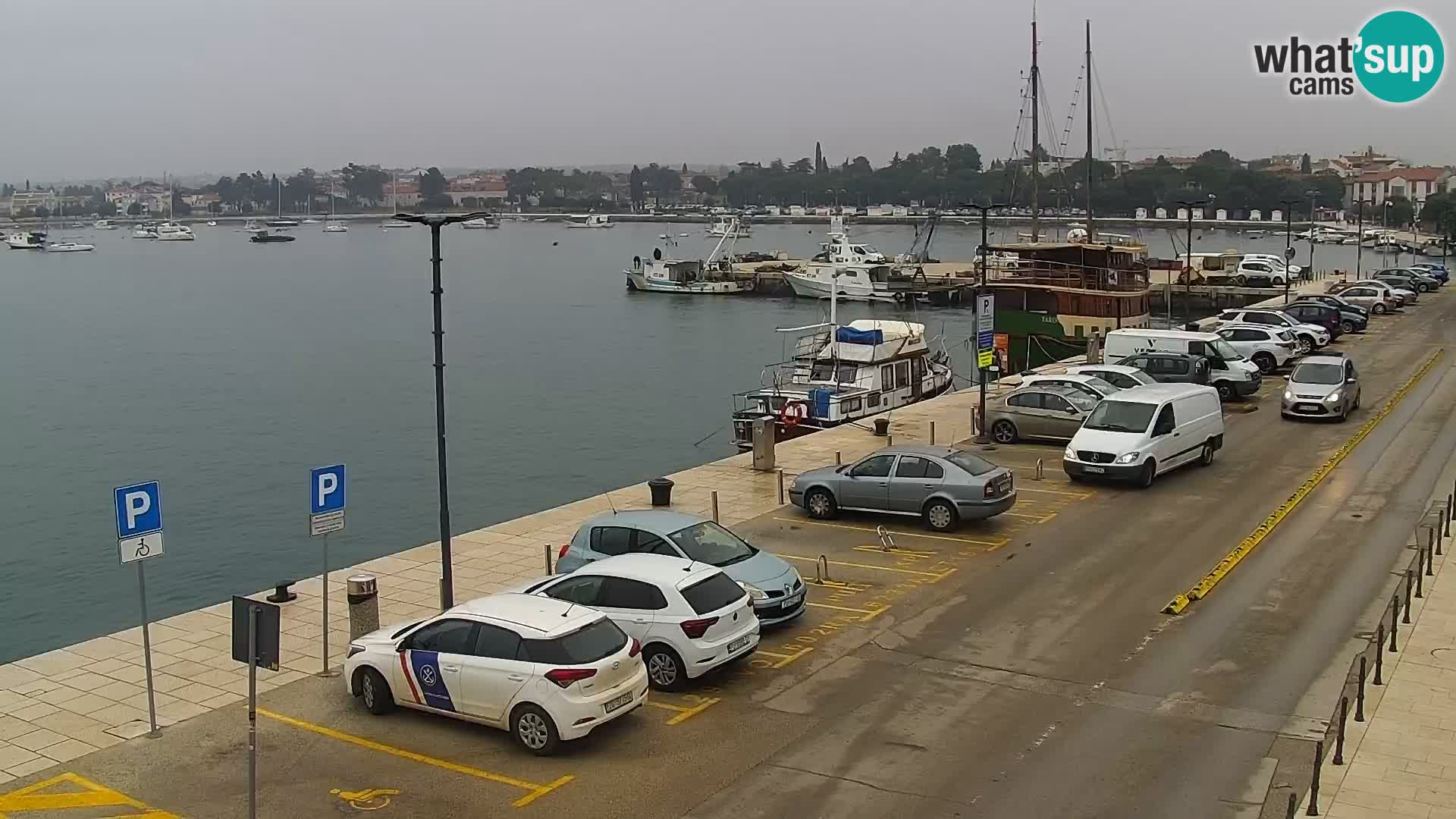 Webcam live Umag – port