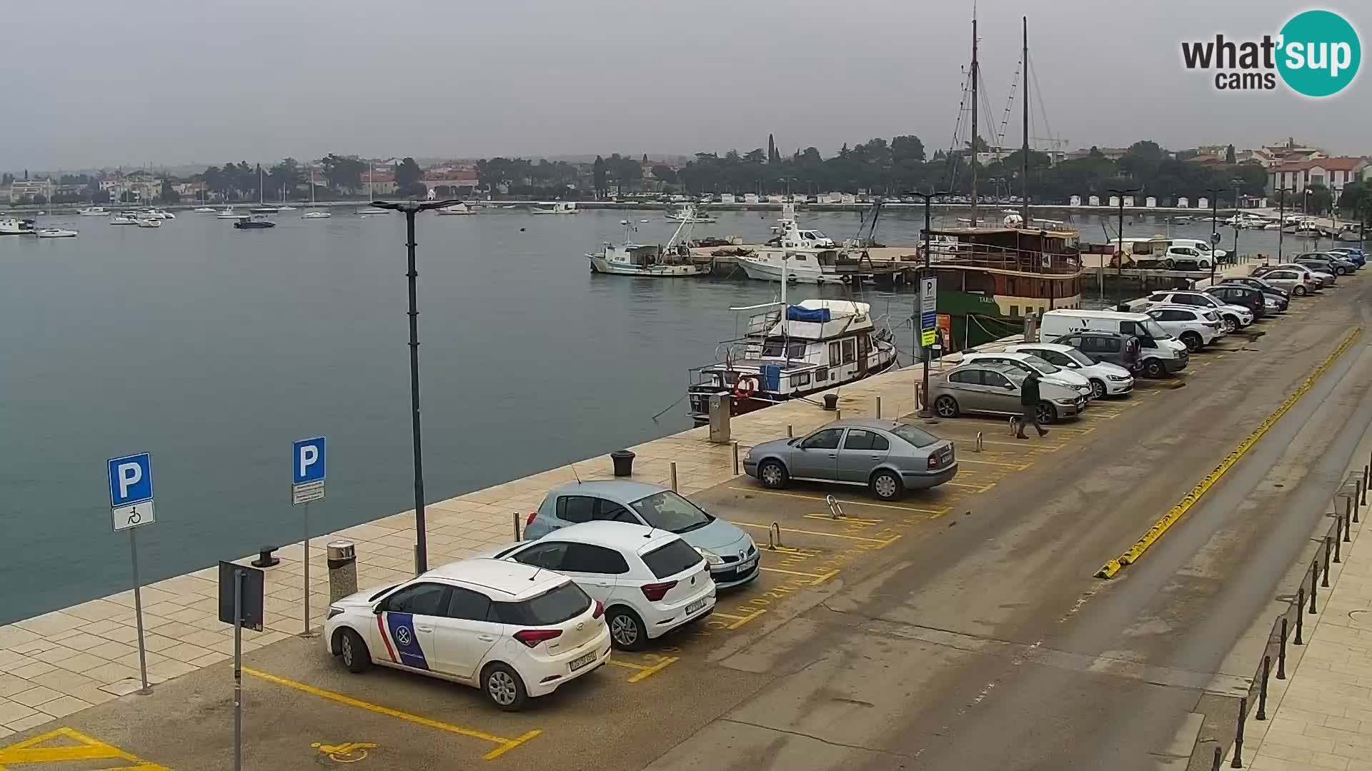 Webcam live Umag – port