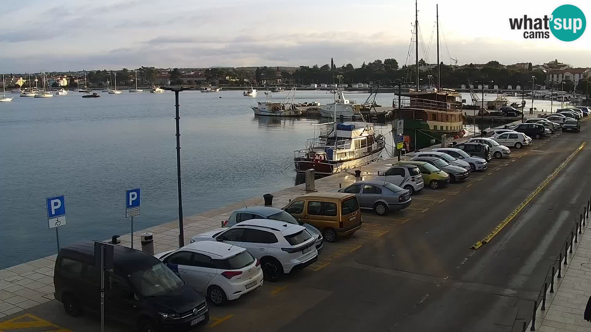 Webcam Umag – Puerto