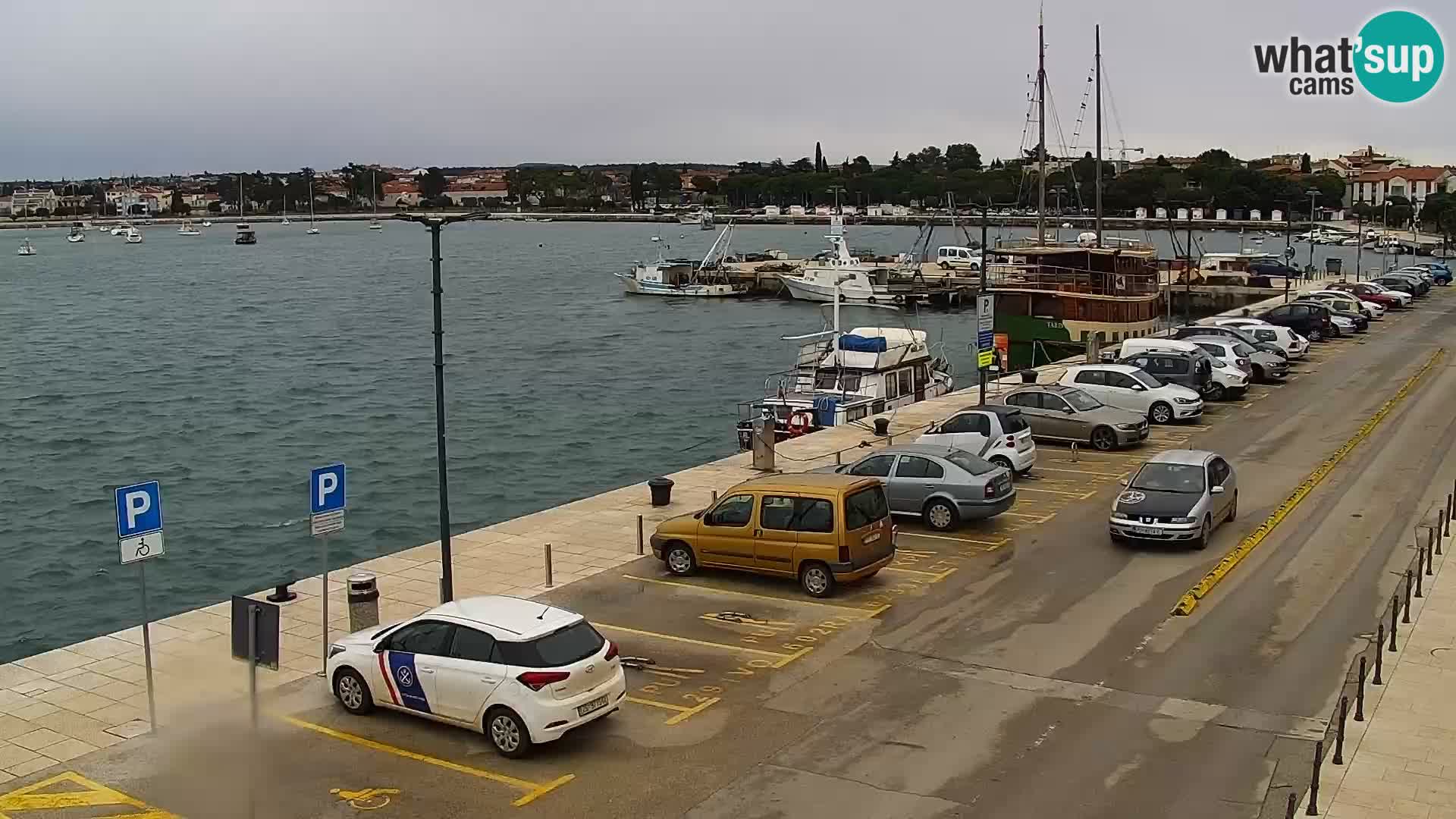 Live webcam Umag – Harbour