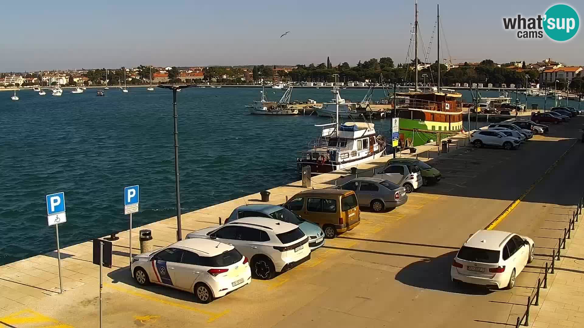 Hauptplatz Umag webcam