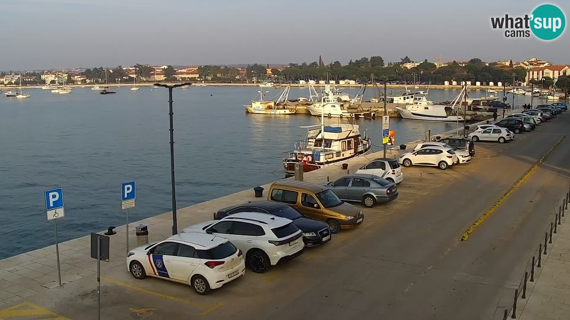 Webcam Umag – Puerto