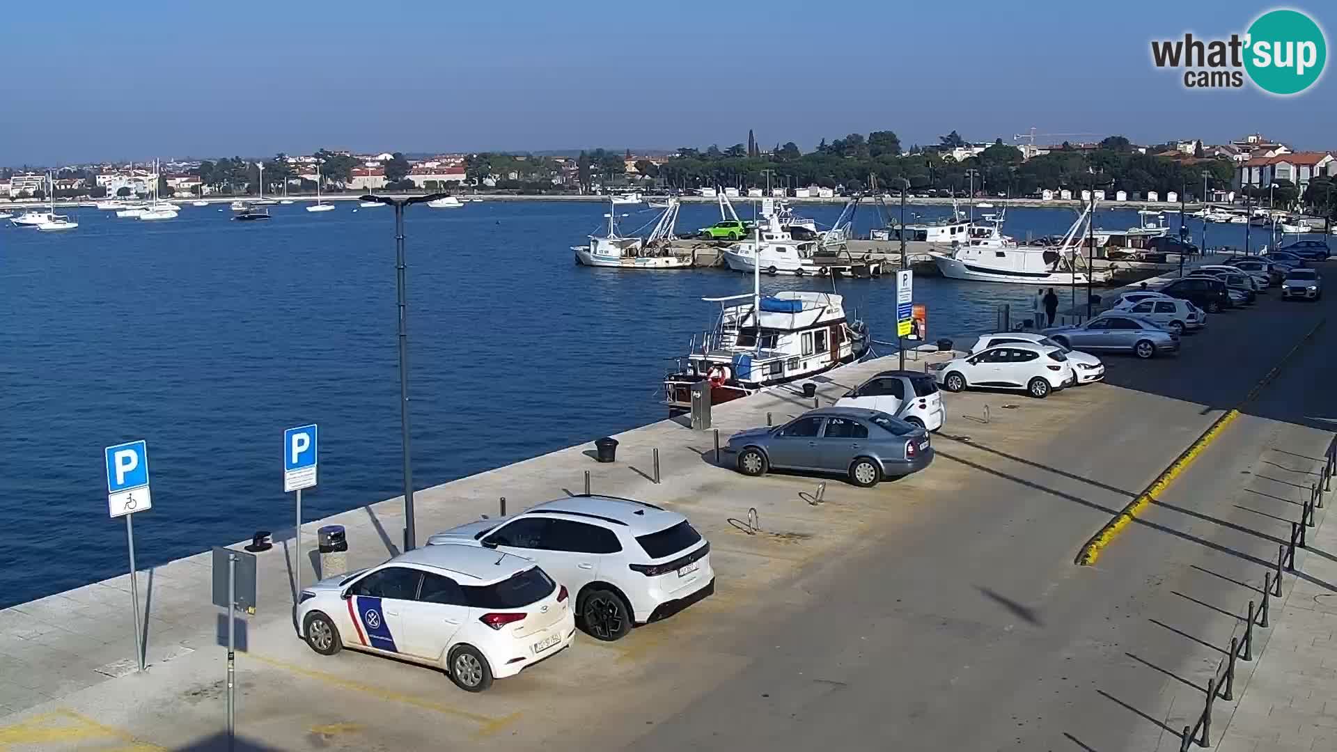 Webcam Umag – Puerto