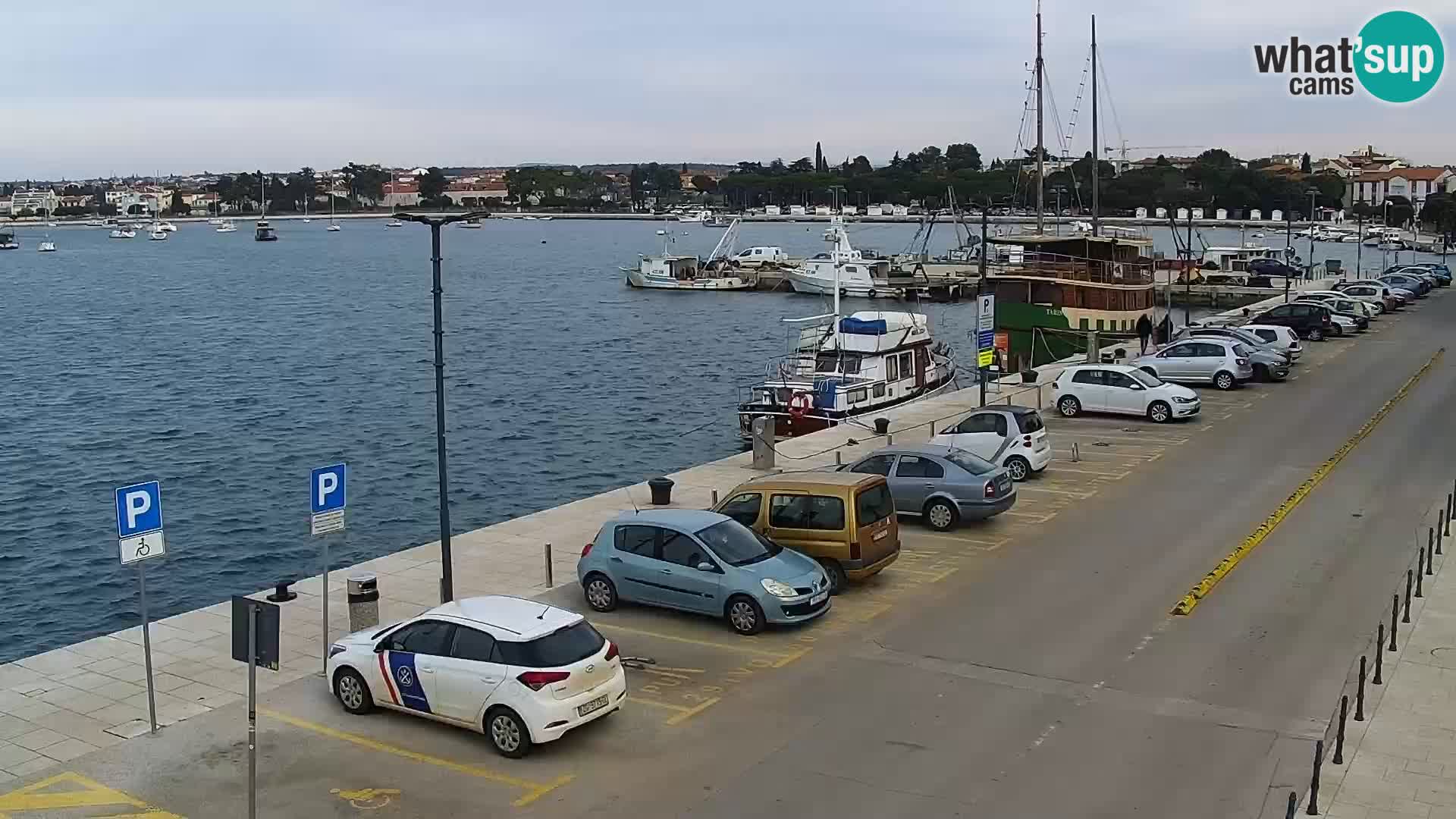 Webcam live Umag – port