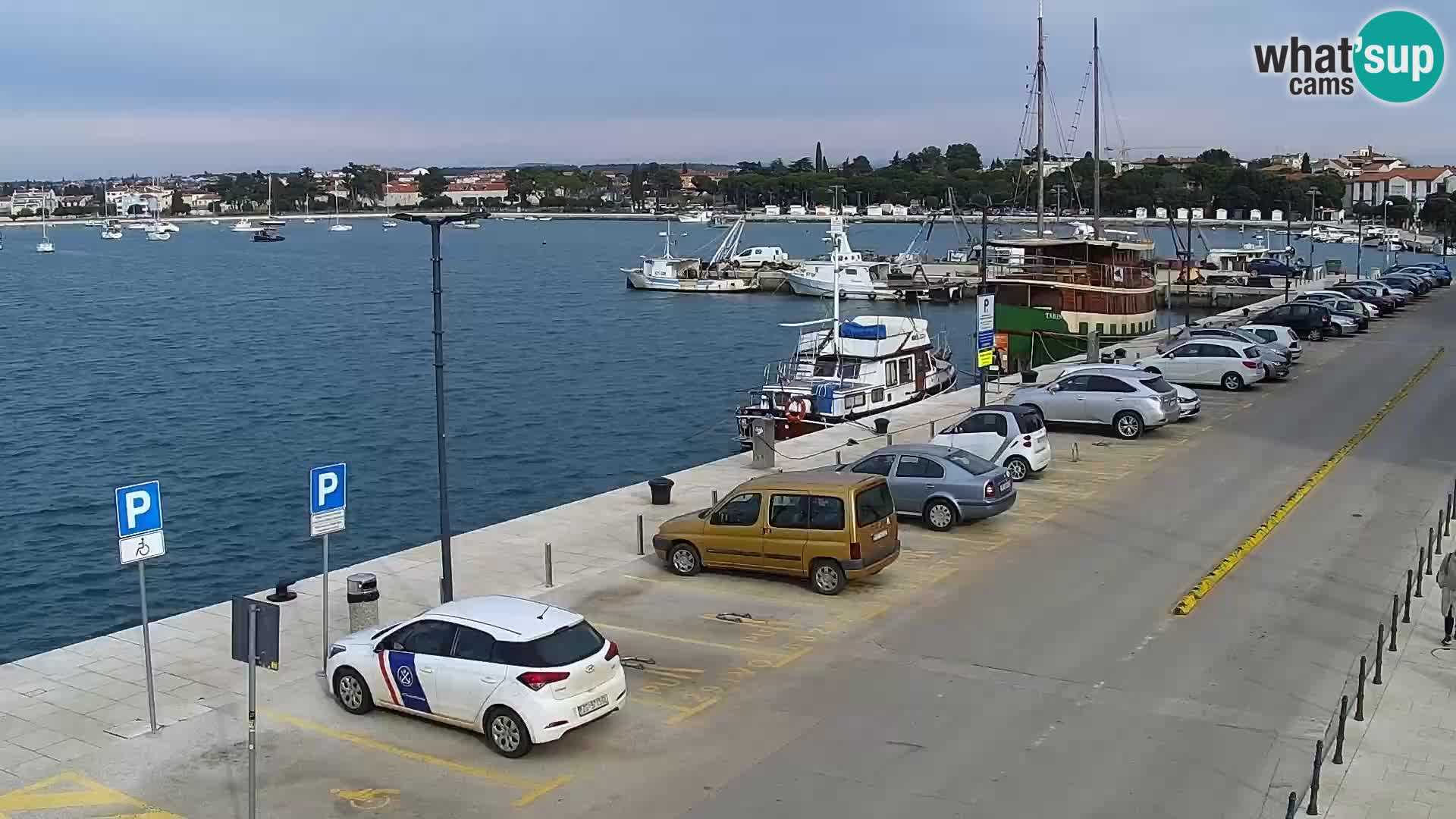 Webcam live Umag – port