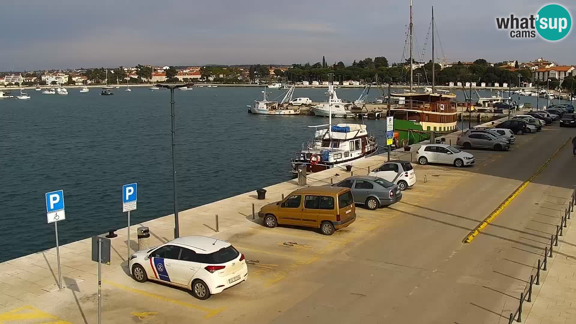 Live webcam Umag – Harbour