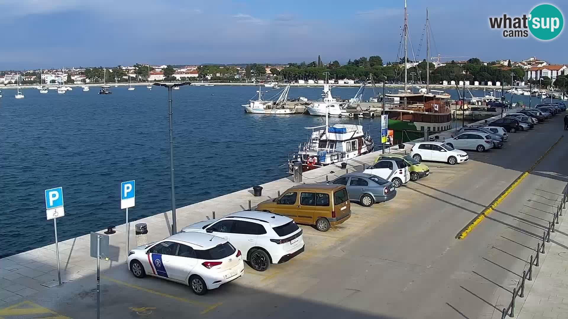 Webcam live Umag – port