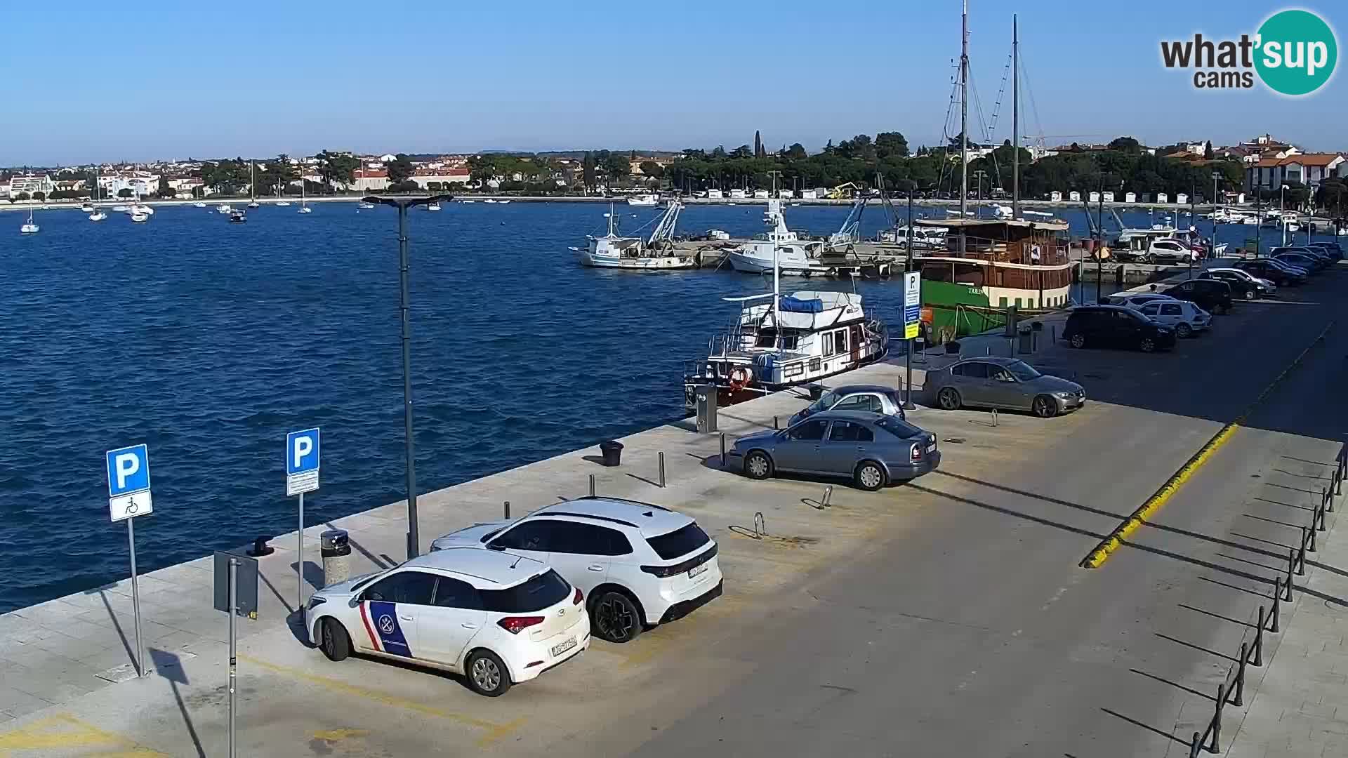 Webcam live Umag – Hafen