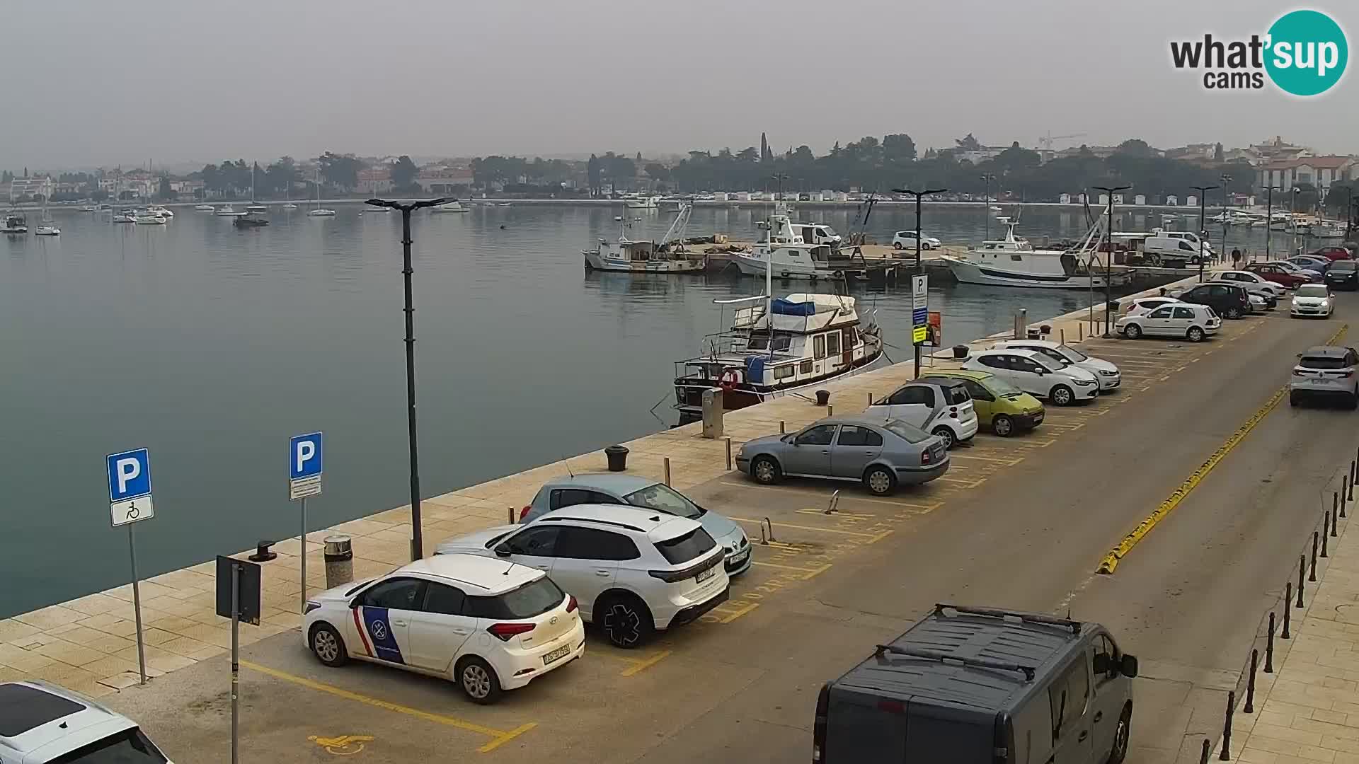 Webcam live Umag – Hafen