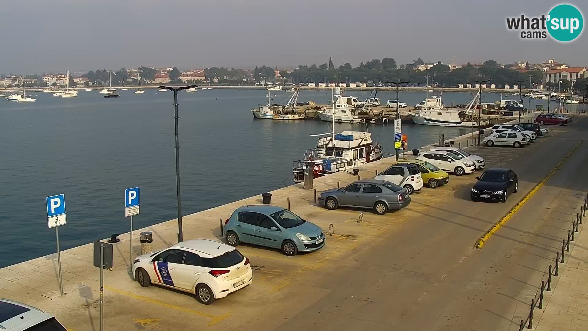 Webcam Umag – Puerto