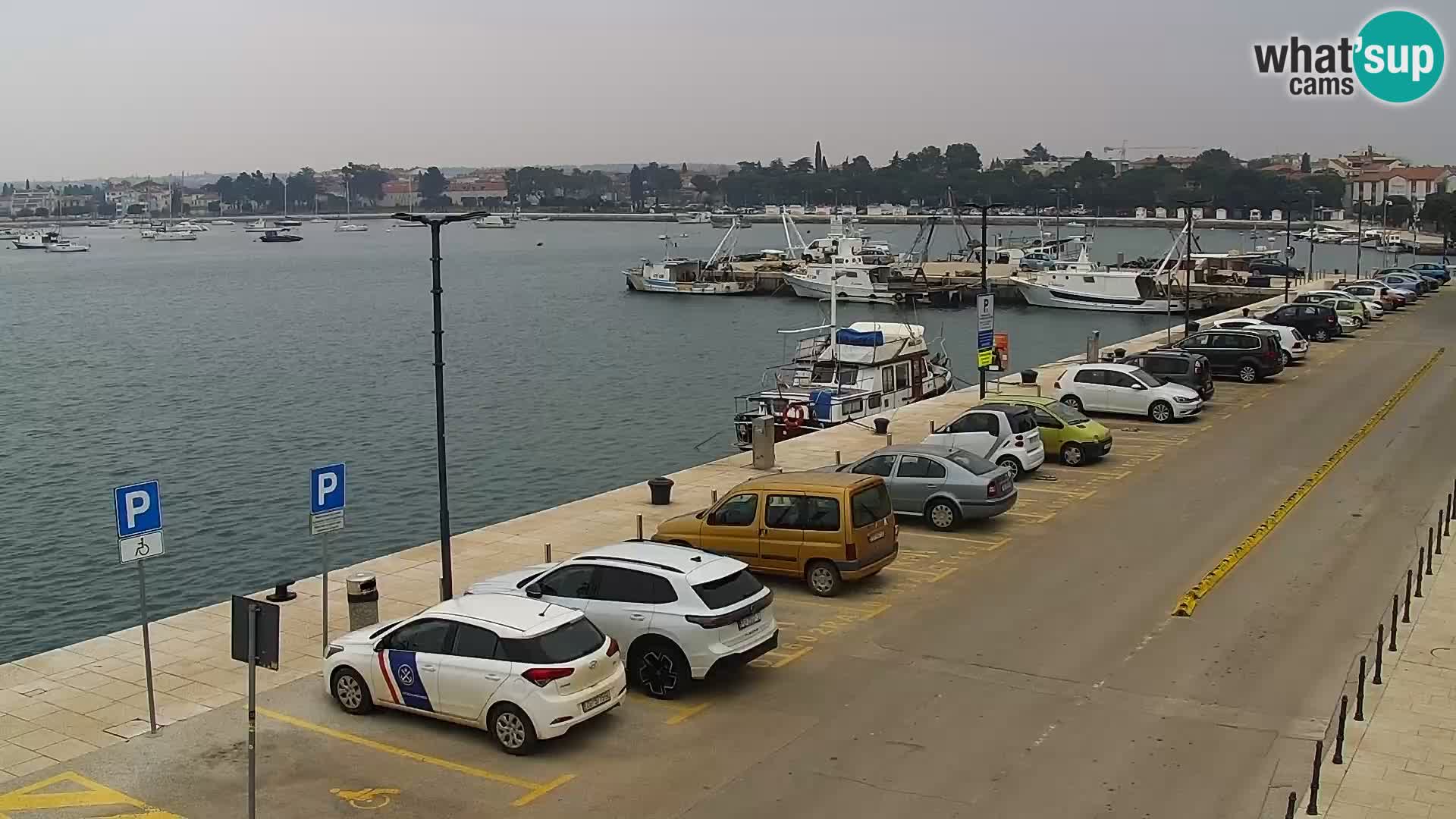 Spletna kamera Umag – luka