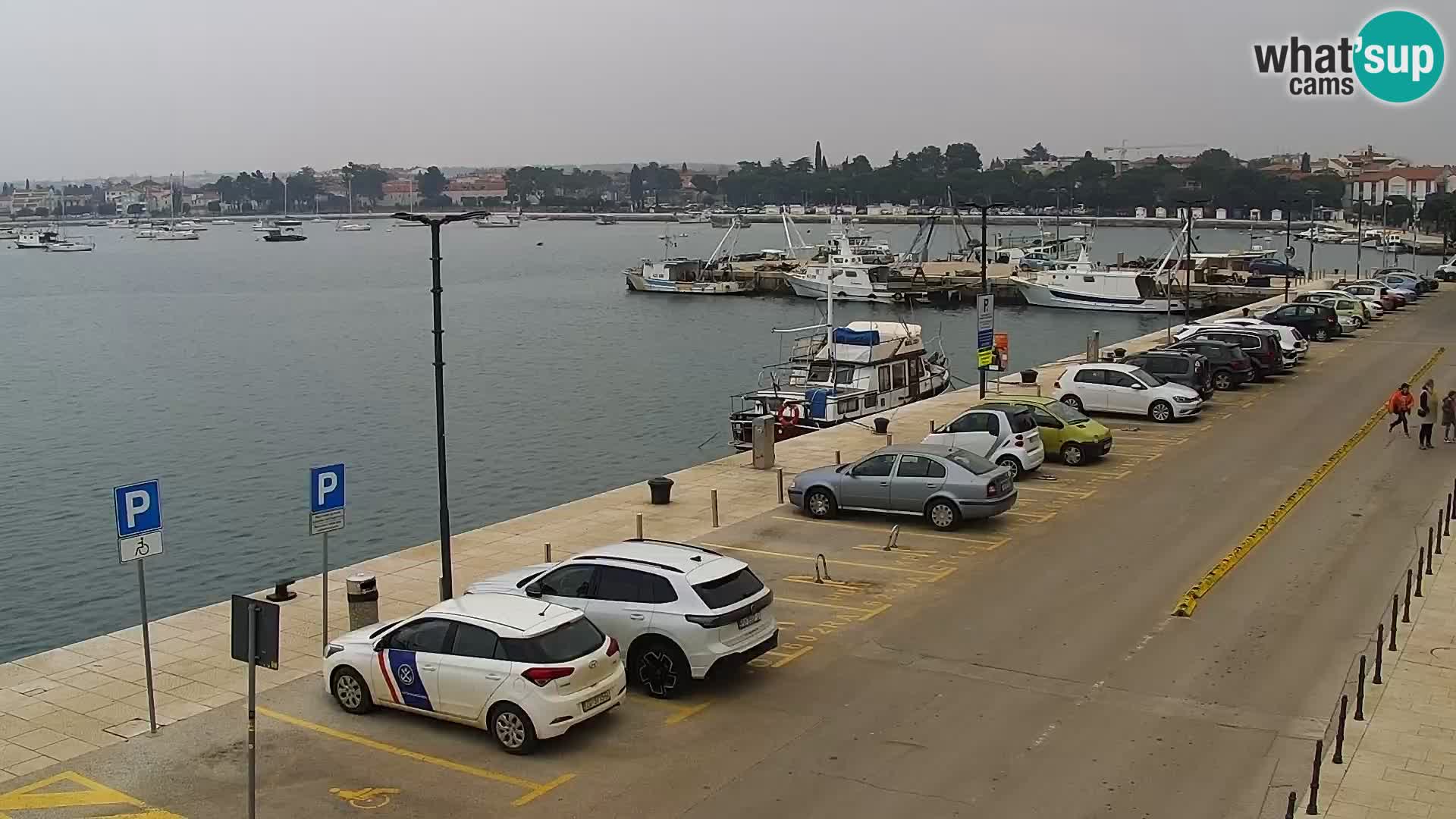 Webcam live Umag – Hafen