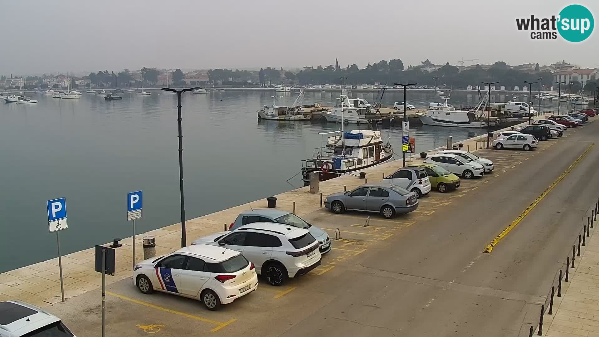 Webcam live Umag – Hafen