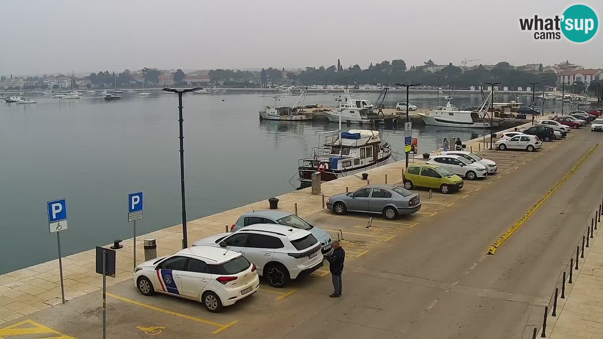 Webcam live Umag – Hafen