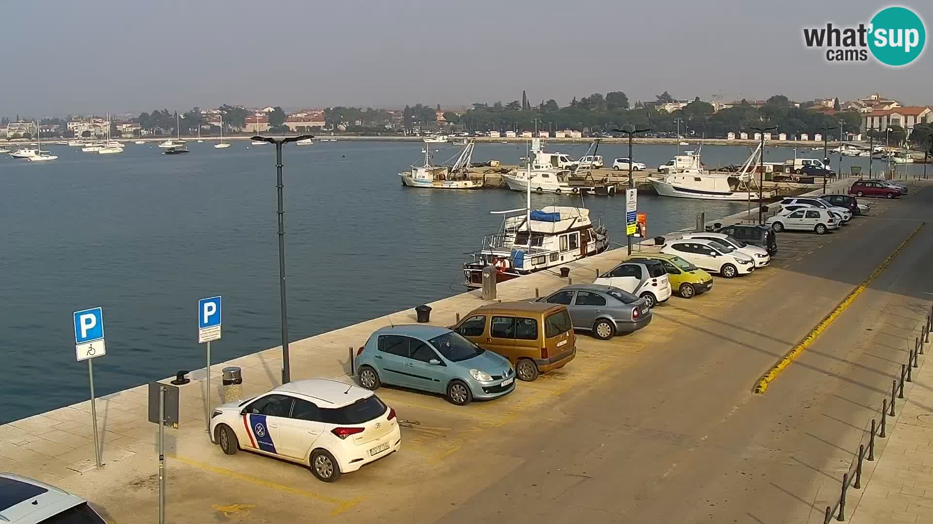 Webcam live Umag – Hafen