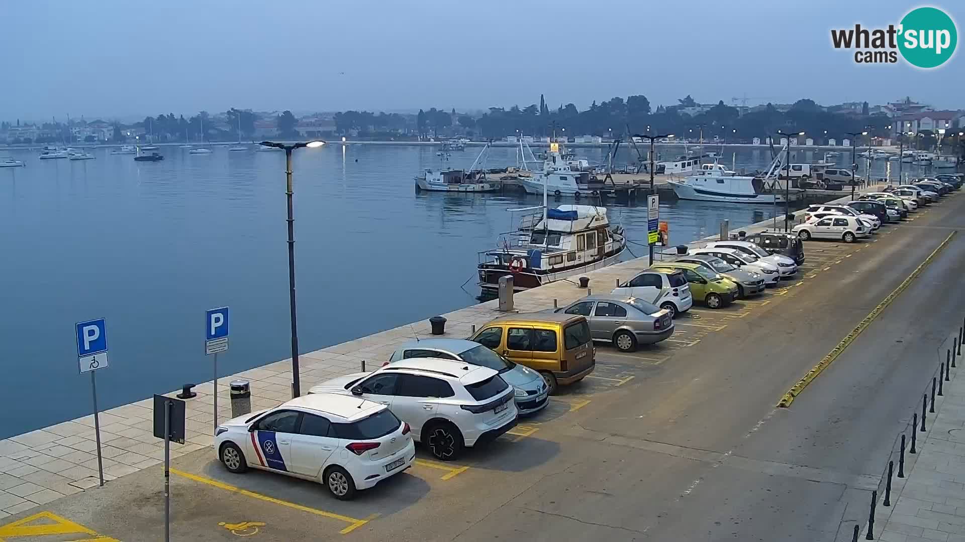 Webcam live Umag – Hafen