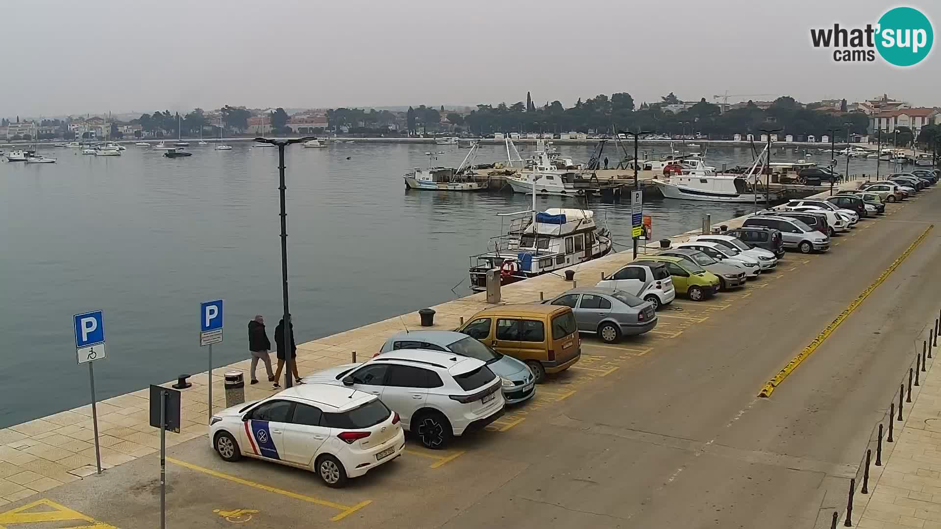 Webcam Umag – Puerto