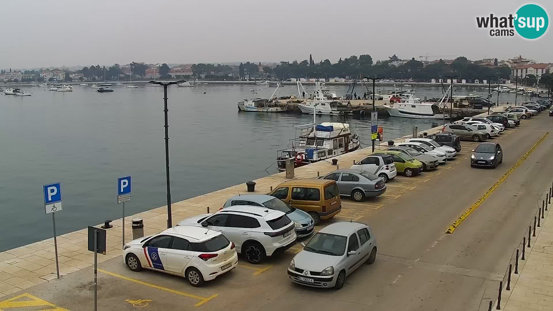 Live webcam Umag – Harbour