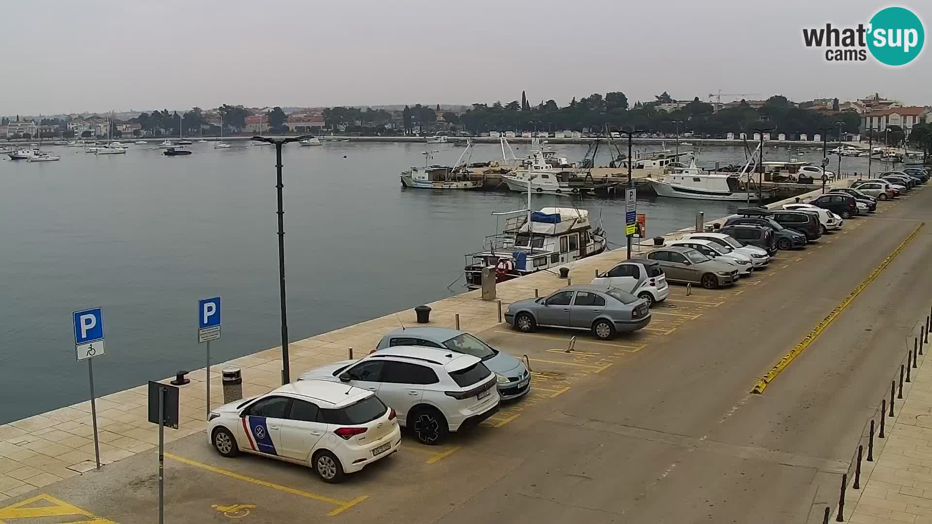 Webcam live Umag – port