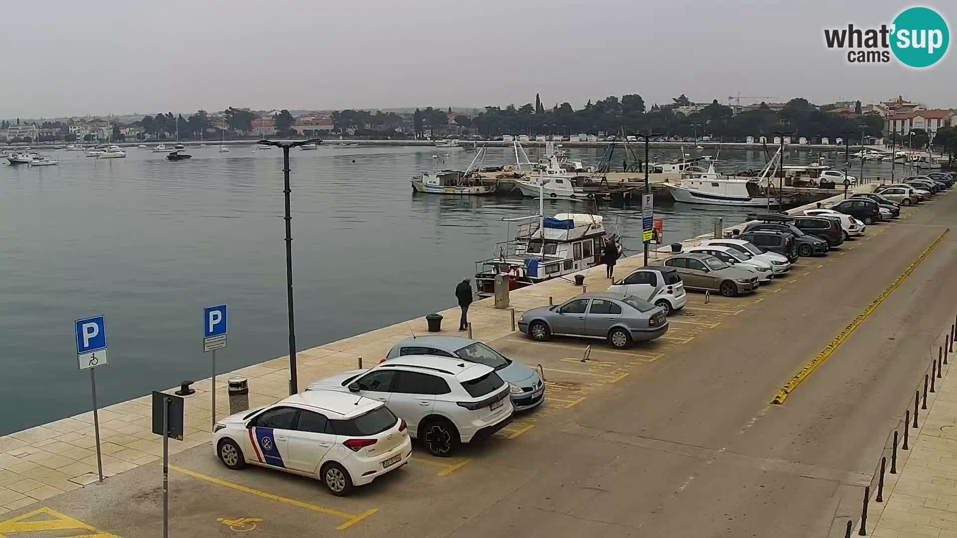 Spletna kamera Umag – luka