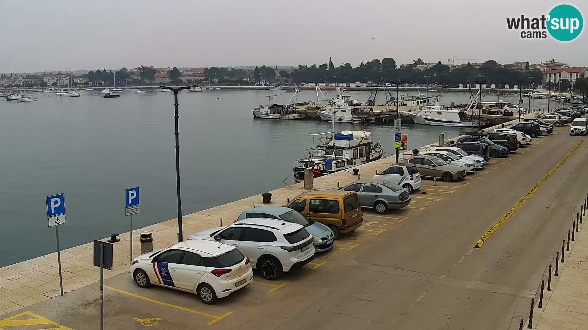 Webcam live Umag – Hafen