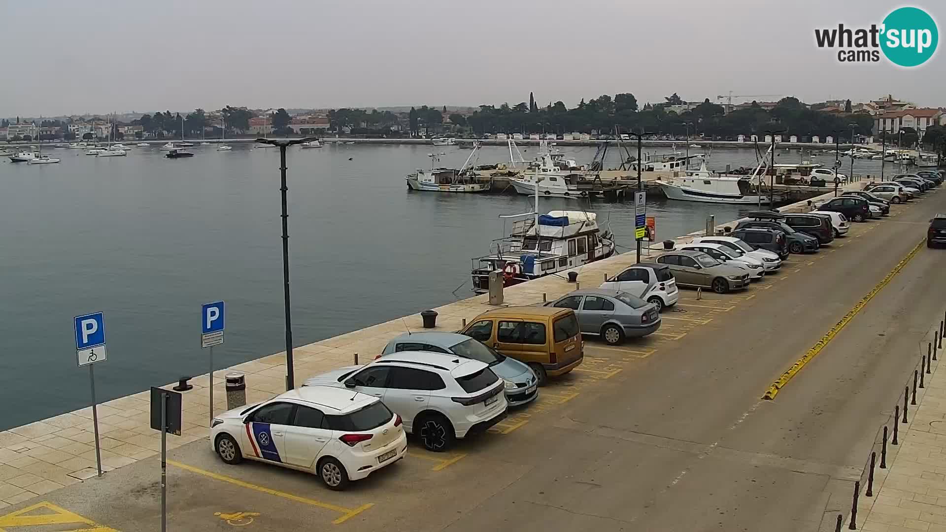 Live webcam Umag – Harbour