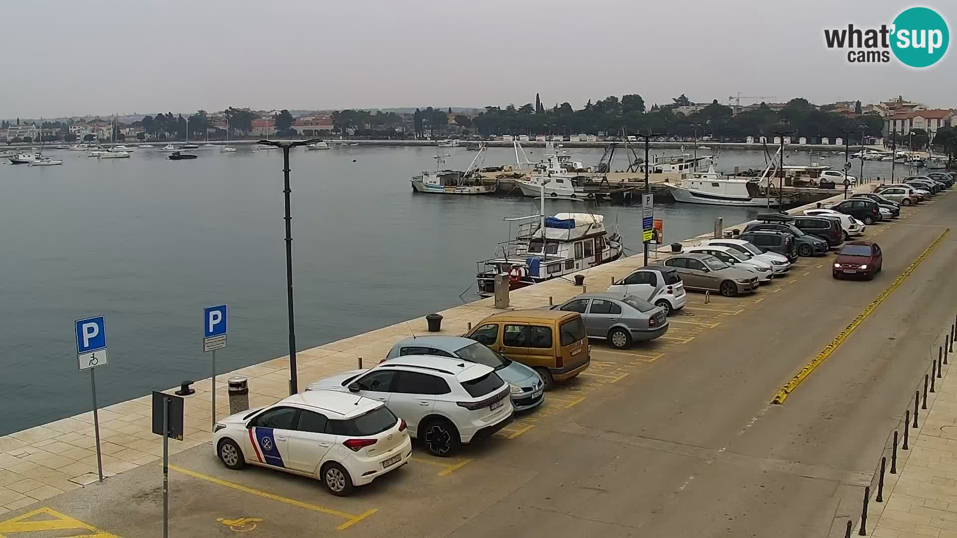 Live webcam Umag – Harbour