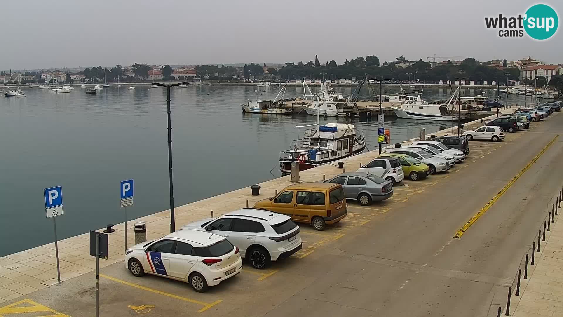 Live webcam Umag – Harbour